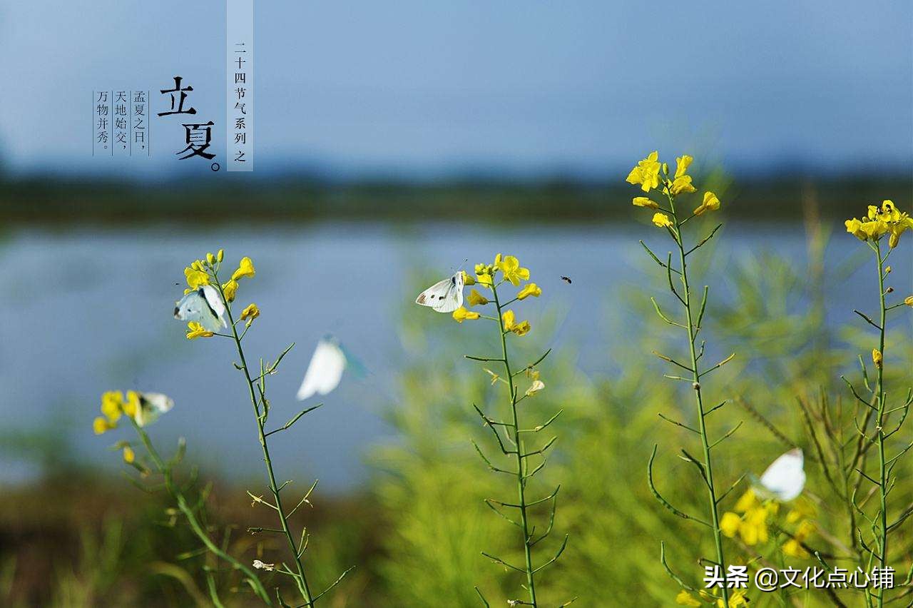 描写流年的唯美词句（带流年的唯美诗词）