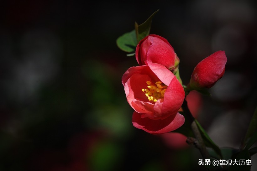 描写春天的诗歌短一点简单（关于春天的古诗大全）