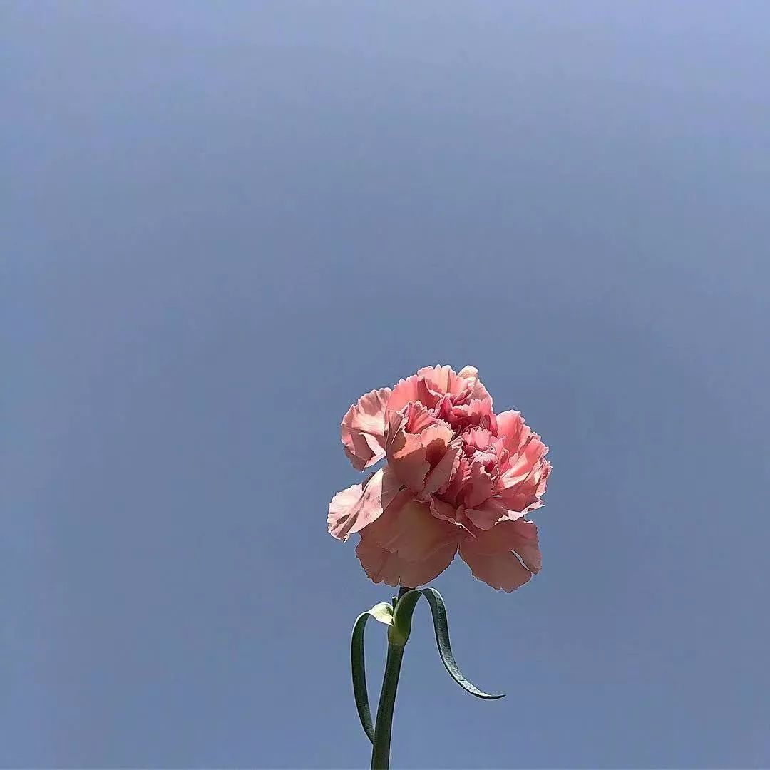 形容岁月静好的诗句（十首描写静的古诗词）