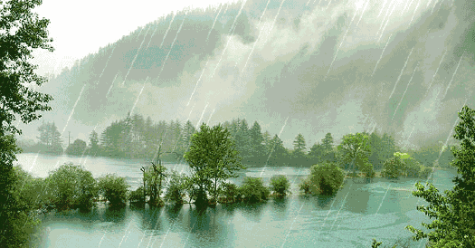 关于雨的诗句古诗大全（描写雨景的12首唯美意境诗）