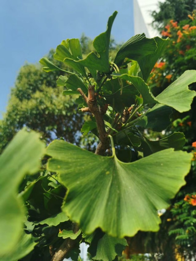 纪念逝去的爱情的诗句（分享这10首伤感情诗）