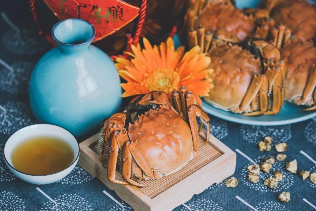 重阳节古诗有哪些（传统节日的古诗重阳节）