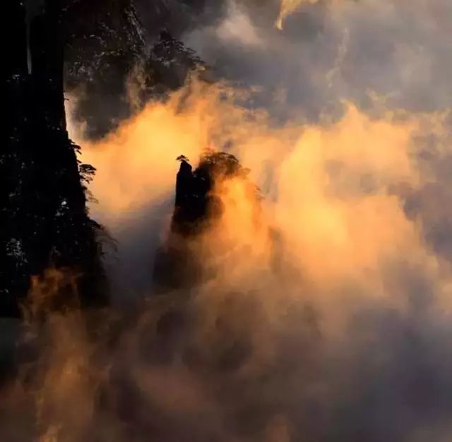 形容黄山美景的句子（用一句话赞美黄山美景）