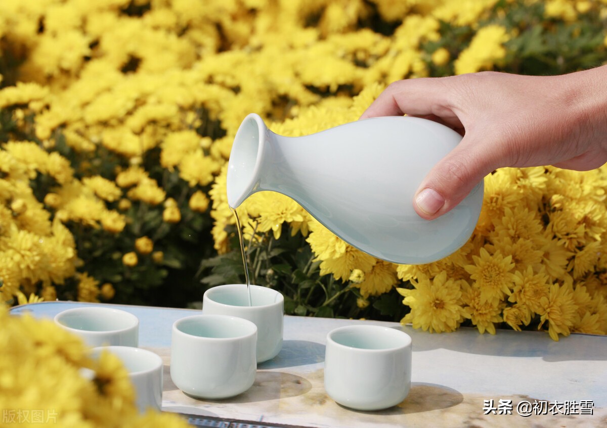 寒露的句子短句唯美（寒露节气唯美句子）
