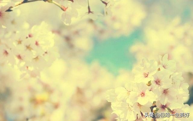 人生感悟一段很现实的话（很精辟的人生感悟句子）