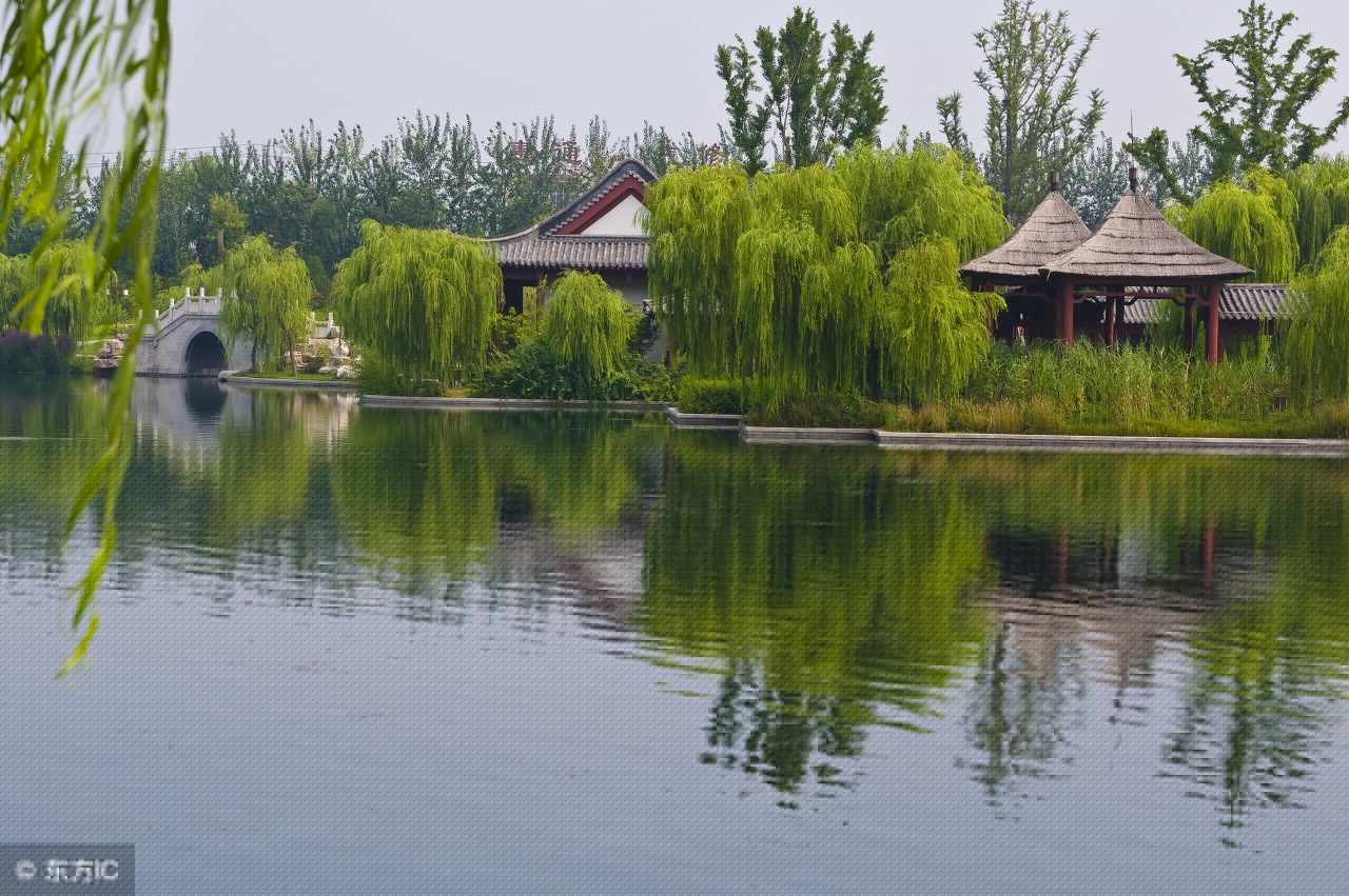 李清照的诗词全集及翻译（李清照诗词大集及解释）