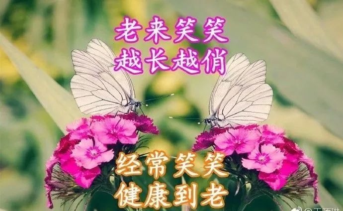 评价一个人的优点语句（高情商夸赞他人的经典美句）