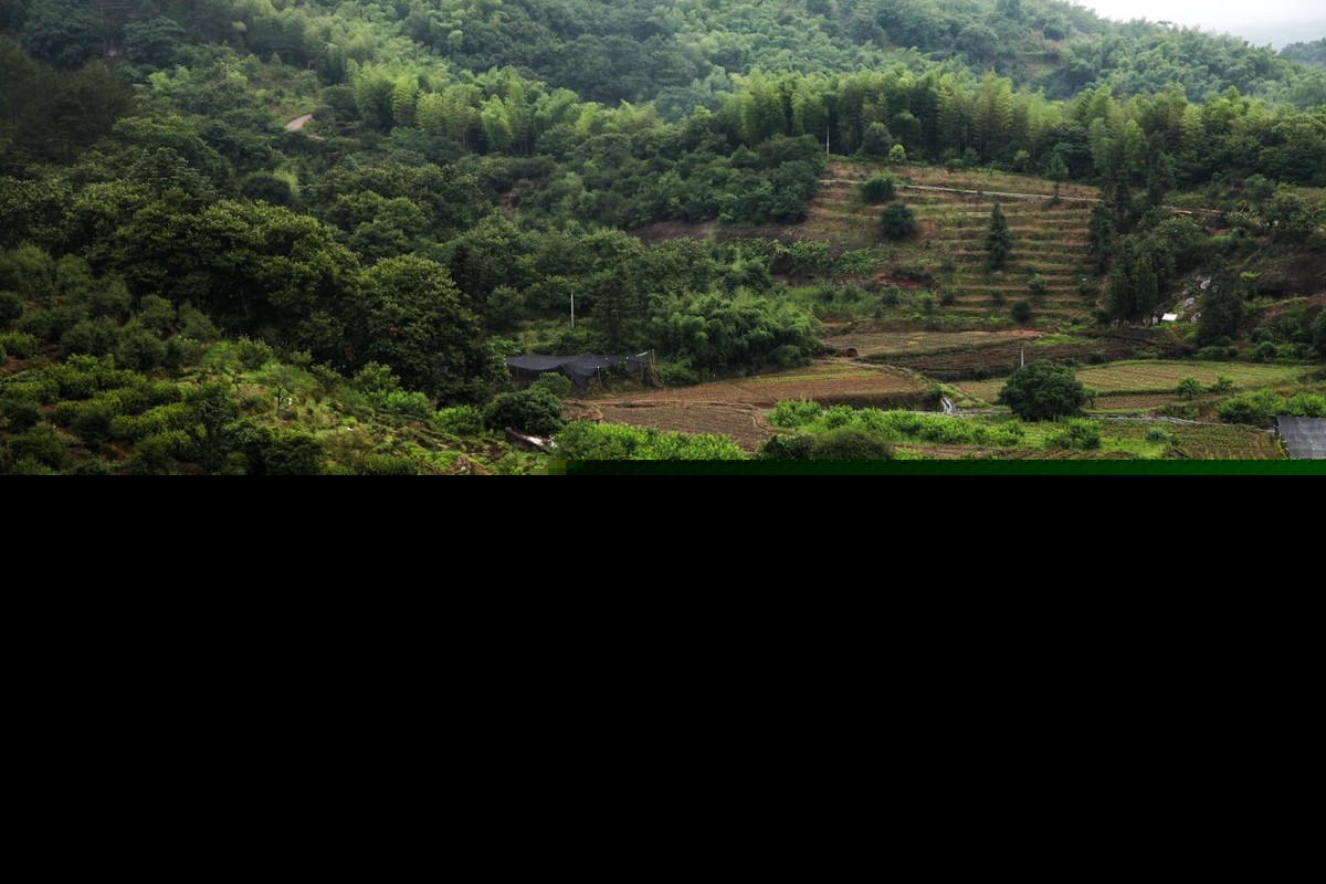 春游湖徐俯古诗（关于春游湖徐俯全文翻译）