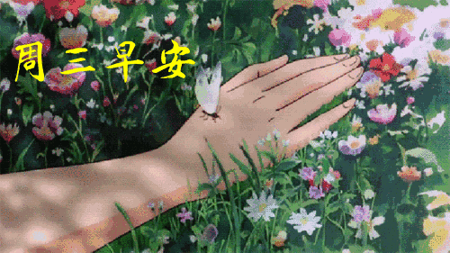 温馨祝福朋友的句子（最暖心的早安祝福语录）