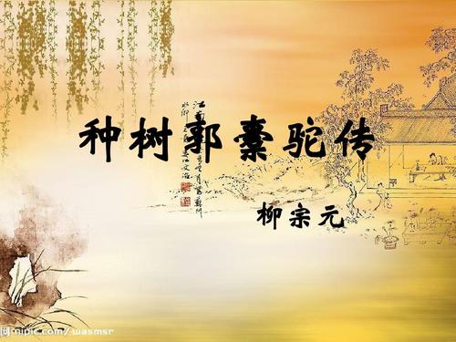 种树郭橐驼传翻译注释（原文内容及全文翻译）