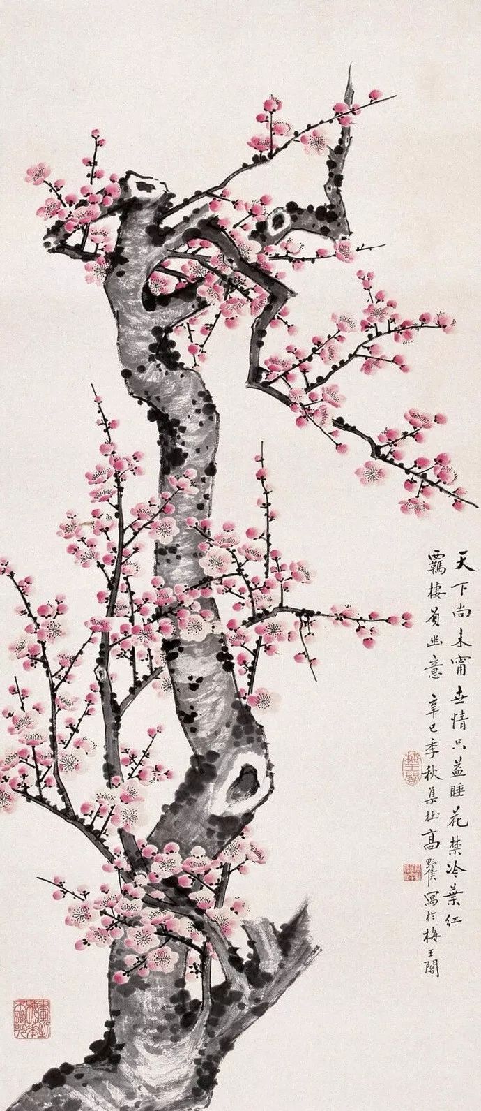 写梅花的诗有哪些（赞美梅花的诗句）