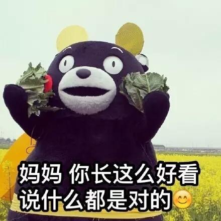 妈妈的好大儿什么梗-妈妈的好大儿什么意思