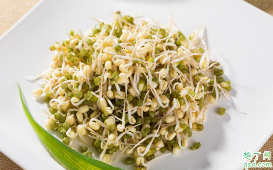 豆芽和豆苗一样吗 豆芽和豆苗的差别在哪
