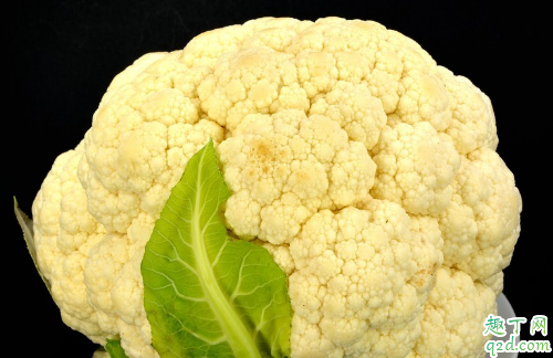 花菜黑斑病怎么防治效果好 如何预防花菜种植时的病害