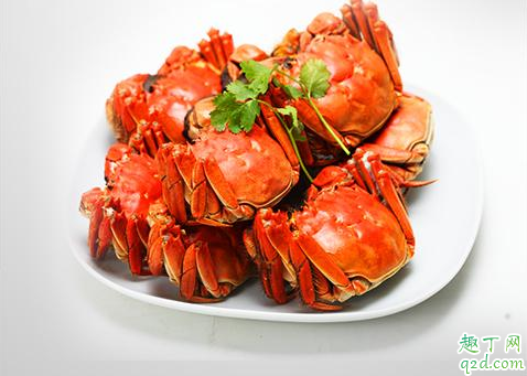 大闸蟹肥肉怎么看 怎么判断大闸蟹肉多不多