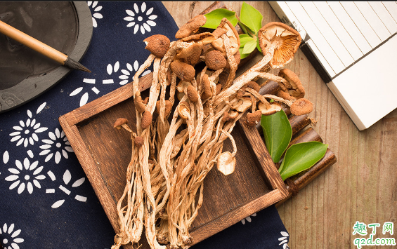 茶树菇新鲜的和干的哪个好 天天吃茶树菇会怎么样