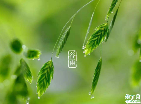 2020年哪天是雨水节气 2020的节气对应的日期