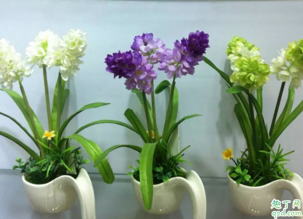 花盆没开洞可以养花吗 花盆没有孔花能活么