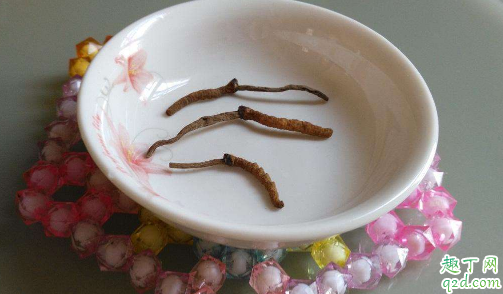 冬虫夏草泡酒多久能喝 泡过酒的虫草怎么处理