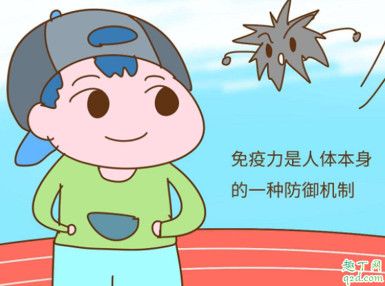 免疫力低下会引起什么病 吃哪些食物增强免疫力
