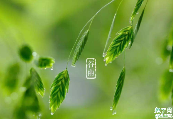 2020几点几分谷雨 谷雨的时候人们会干些什么