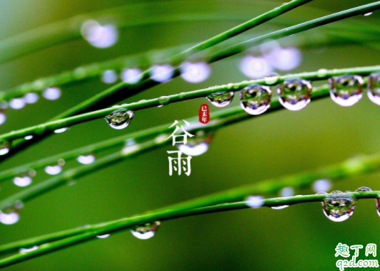 谷雨结婚好吗2020年 2020年4月哪些日子结婚好