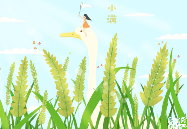 小满见三鲜是哪三鲜 小满节气养生吃什么