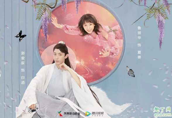 白狐的人生是根据那个小说改编的-白狐的人生txt小说讲的什么