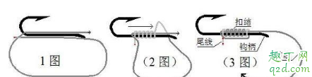 钓鱼线怎样绑比较牢固 新手选择鱼线该怎么选