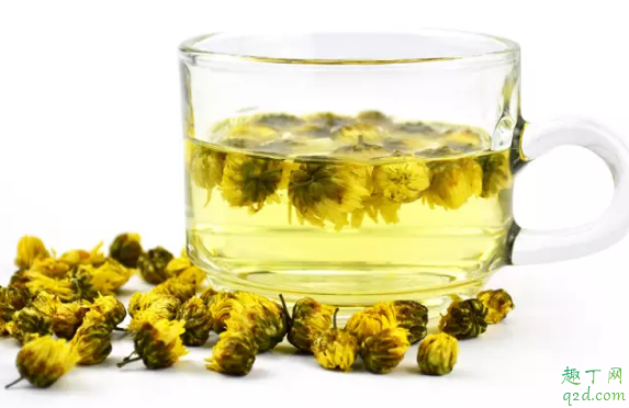 黄菊花茶和白菊花茶哪个护肝 黄菊花茶和白菊花茶有什么不同