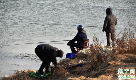 冬季钓鱼总是钓不到怎么回事 冬天钓鱼怎么让鱼儿上钩
