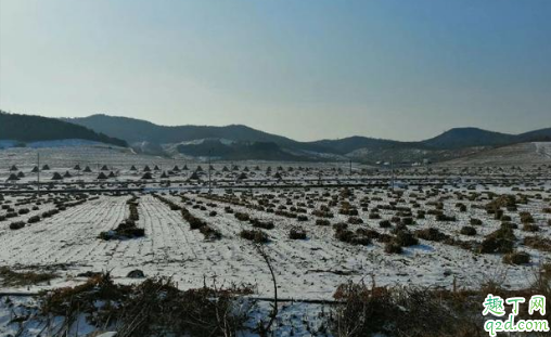 2019大雪过后就冷了吗 大雪不下雪好不好