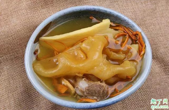 鱼胶是炖汤好还是煲汤好 鱼胶炖汤和煲汤哪个更营养