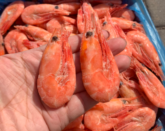 冰虾虾籽有小黑点还能吃吗 冰虾虾籽胆固醇高不高