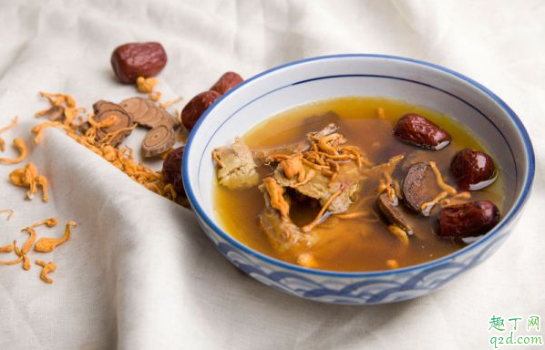 炖汤老鸽子好还是乳鸽好 鸽子熬汤大的好还是小的好