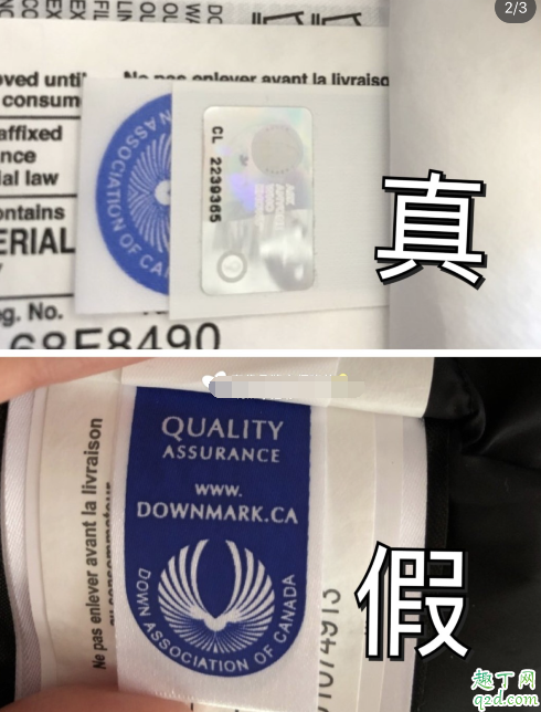 加拿大鹅正品和仿品区别2020 加拿大鹅真假对比图及鉴别技巧