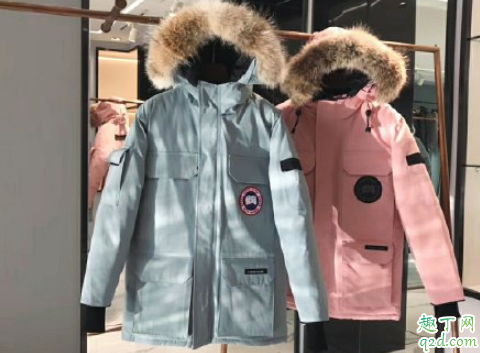 加拿大鹅正品和仿品区别2020 加拿大鹅真假对比图及鉴别技巧