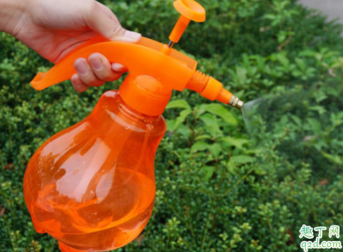 茶水可以浇花草吗 茶水浇什么花好