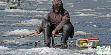 冬季4米水深怎么钓鱼 打窝碎米好还是大米好