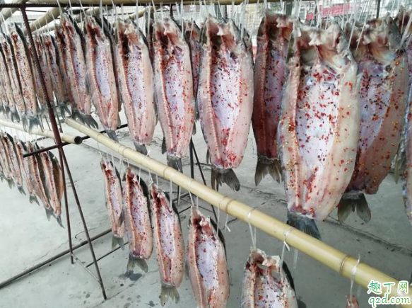 腌鱼要洗干净晒吗 腌鱼洗好还是不洗好