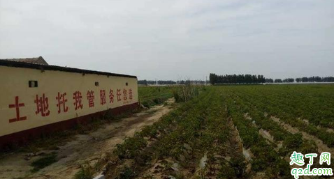 农村现在该不该买地 农村买地需要什么手续