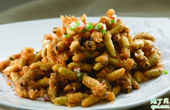 野蜂蜂蛹可以吃吗 胡蜂蜂蛹什么时候最饱满