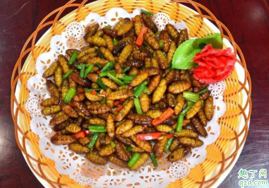 野蜂蜂蛹可以吃吗 胡蜂蜂蛹什么时候最饱满