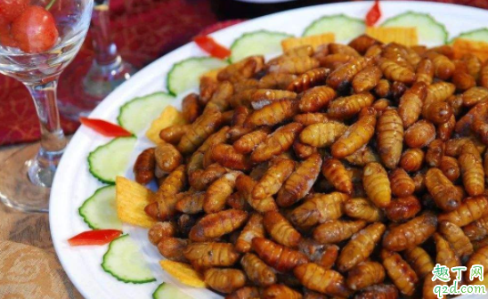 野蜂蜂蛹可以吃吗 胡蜂蜂蛹什么时候最饱满