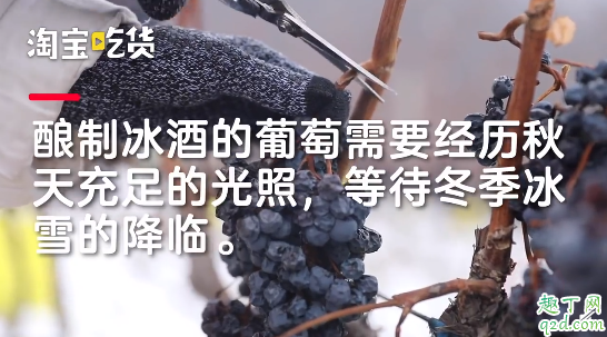 葡萄酒越放越好喝吗 保质期10年的红酒过了八年能喝吗