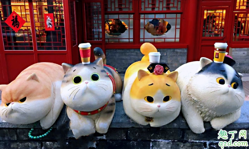 故宫猫在哪里能看到 故宫猫在哪个宫活动