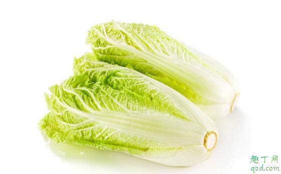 娃娃菜长大了就是大白菜吗 如何分辨大白菜和娃娃菜