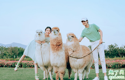 闺蜜结婚送1314元好吗 闺蜜结婚随礼几千合适