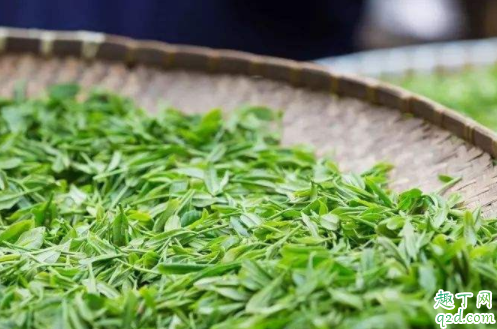 龙井茶贵不贵 龙井茶能保存多久