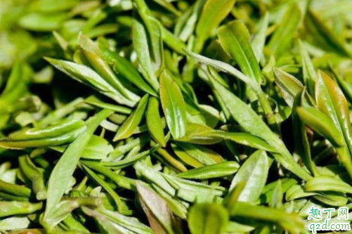 龙井茶贵不贵 龙井茶能保存多久
